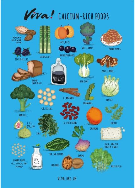 Illustrated Calcium Nutritional Poster Posters Viva The Vegan Charity