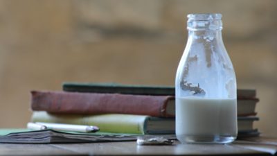 Milk Schools