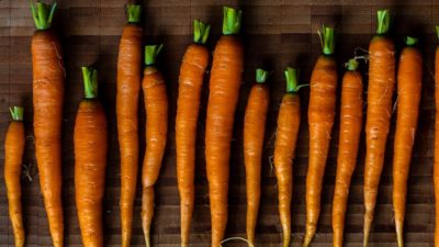 Carrots bright