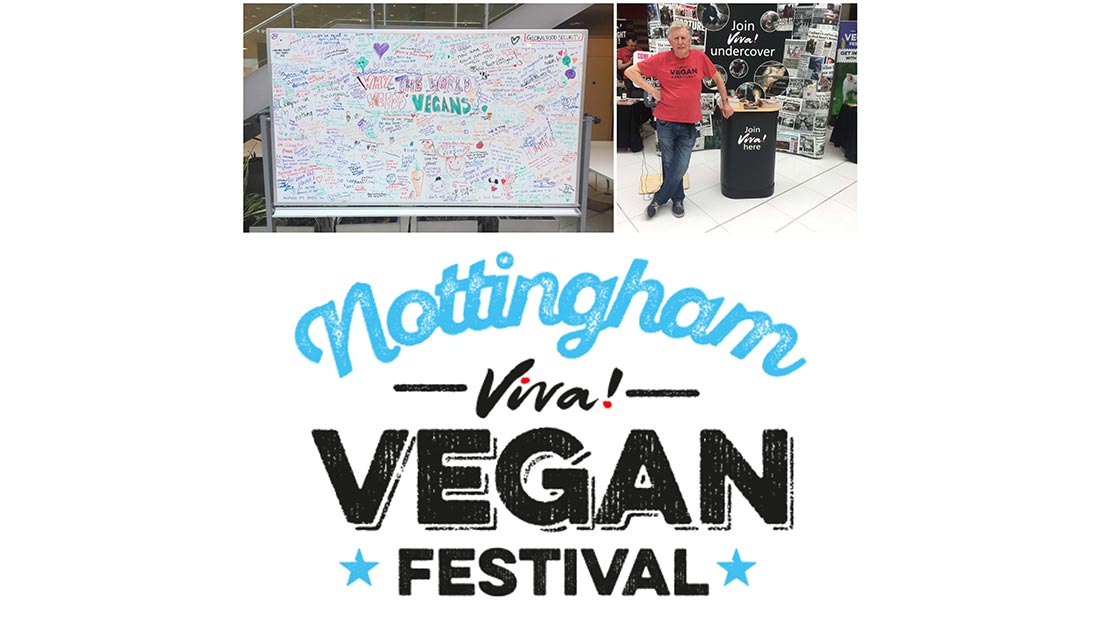 Nottingham vegan festival