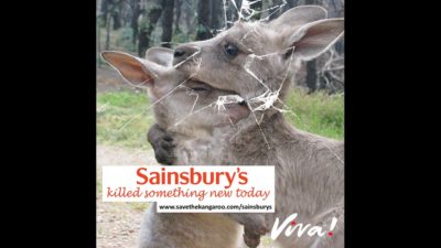 Sainsbury's kangaroo