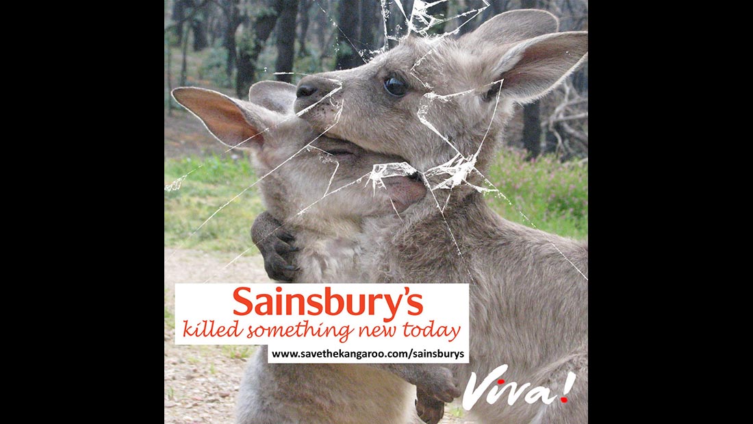 Sainsbury's kangaroo