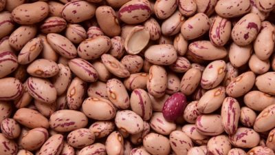 Protein beans