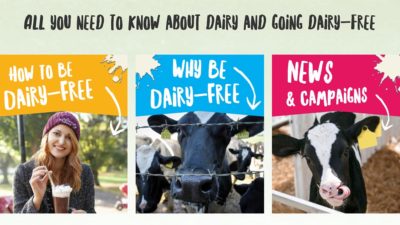 All you need to know about dairy