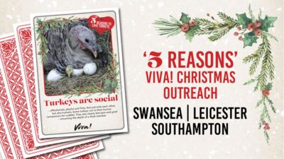 5 Reasons Viva! Christmas Outreach