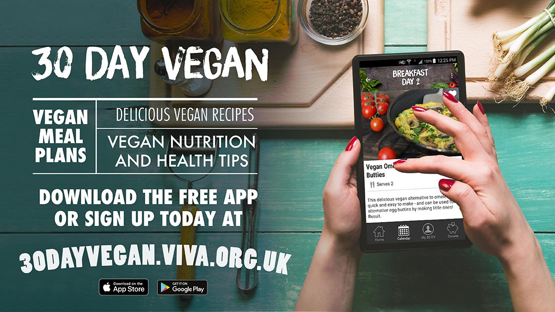 30 Day Vegan web banner