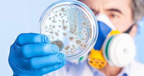 antibiotic resistant superbugs