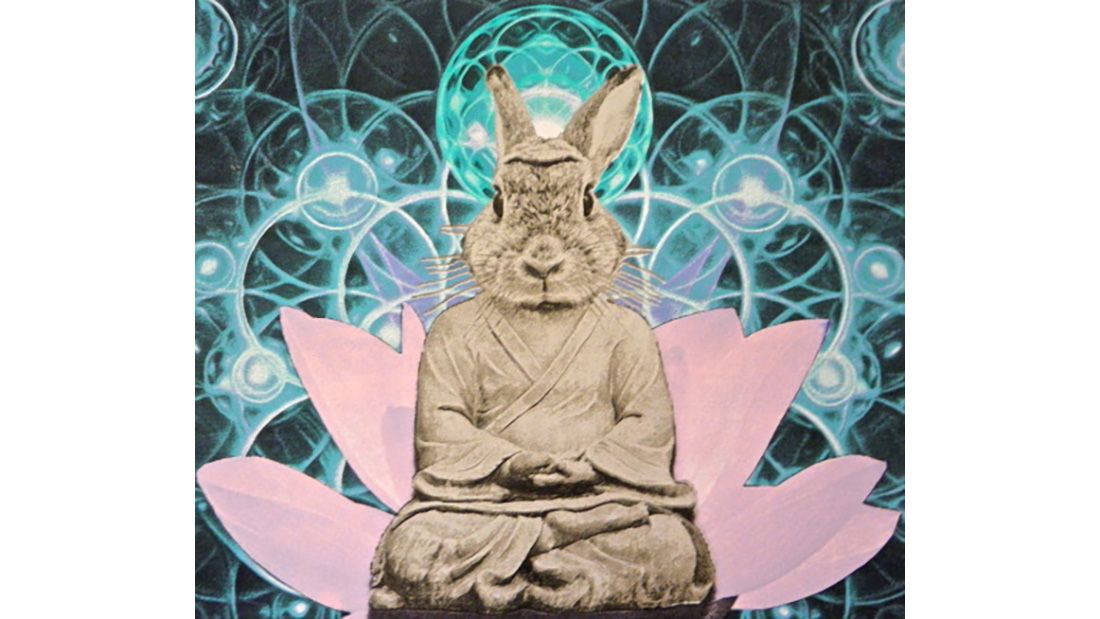 Fiorito Buddha Bunny