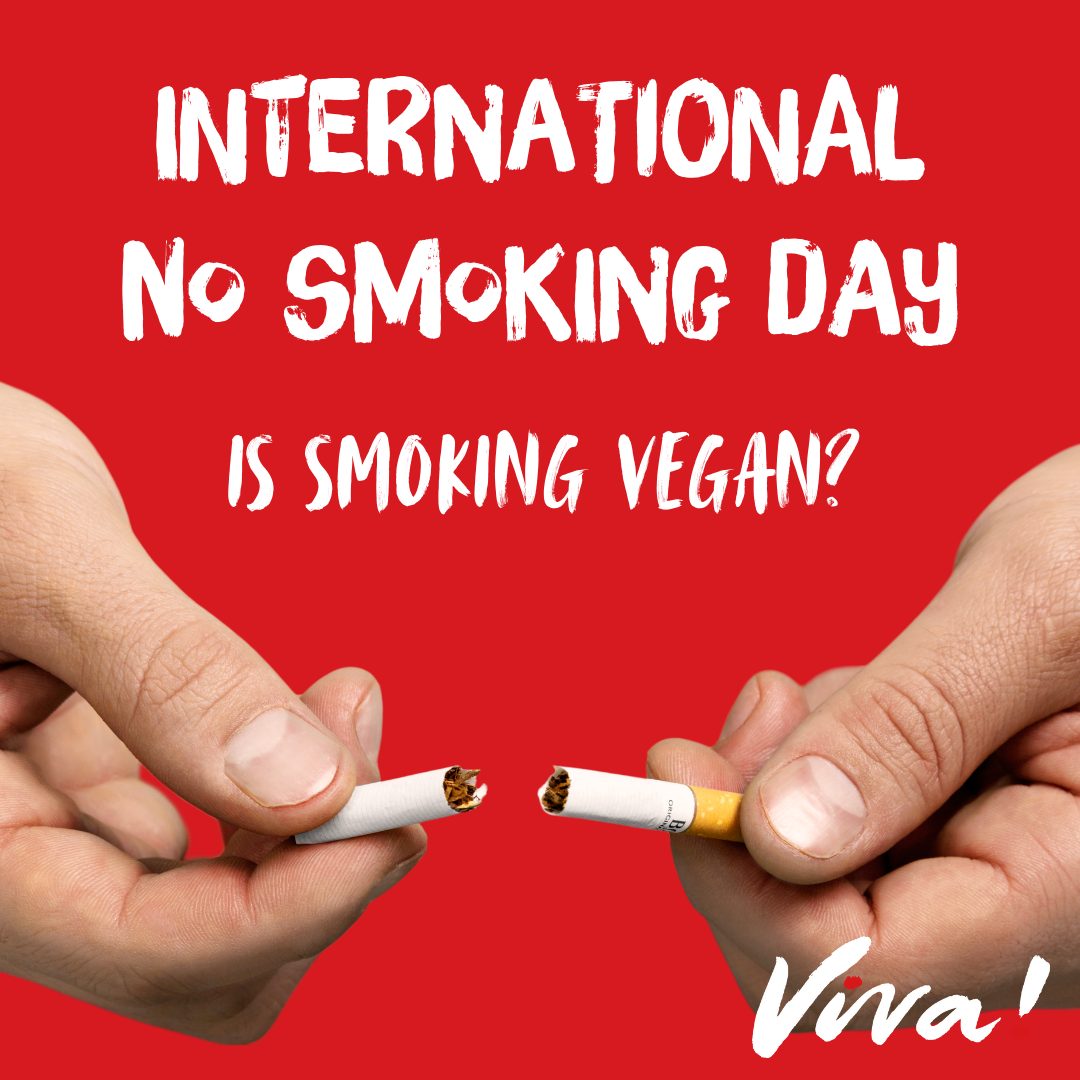 International No Smoking Day – Is Smoking Vegan?