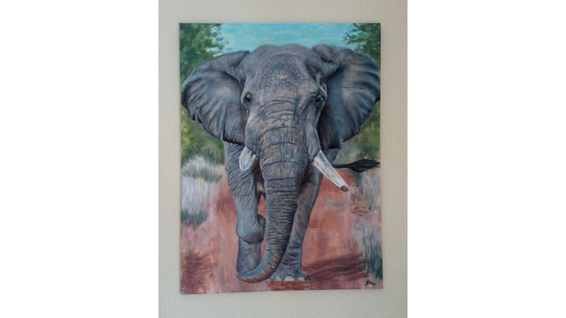 Jodie Hughes Elephant