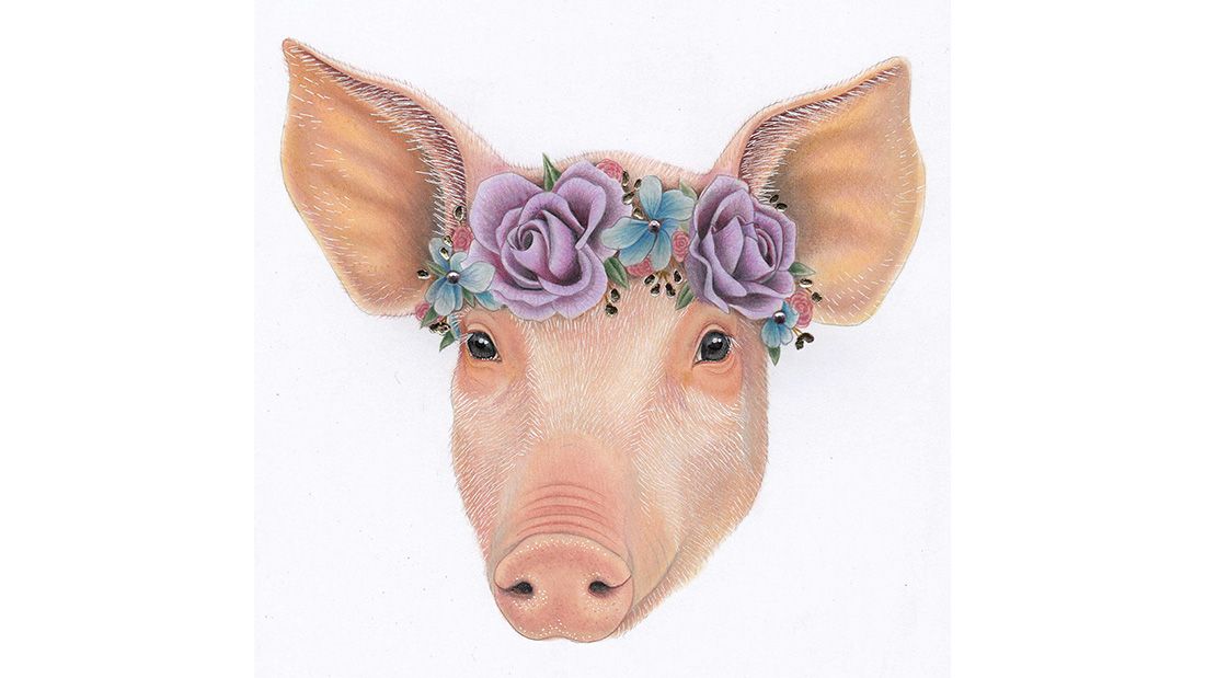 Rose Skelton Pig