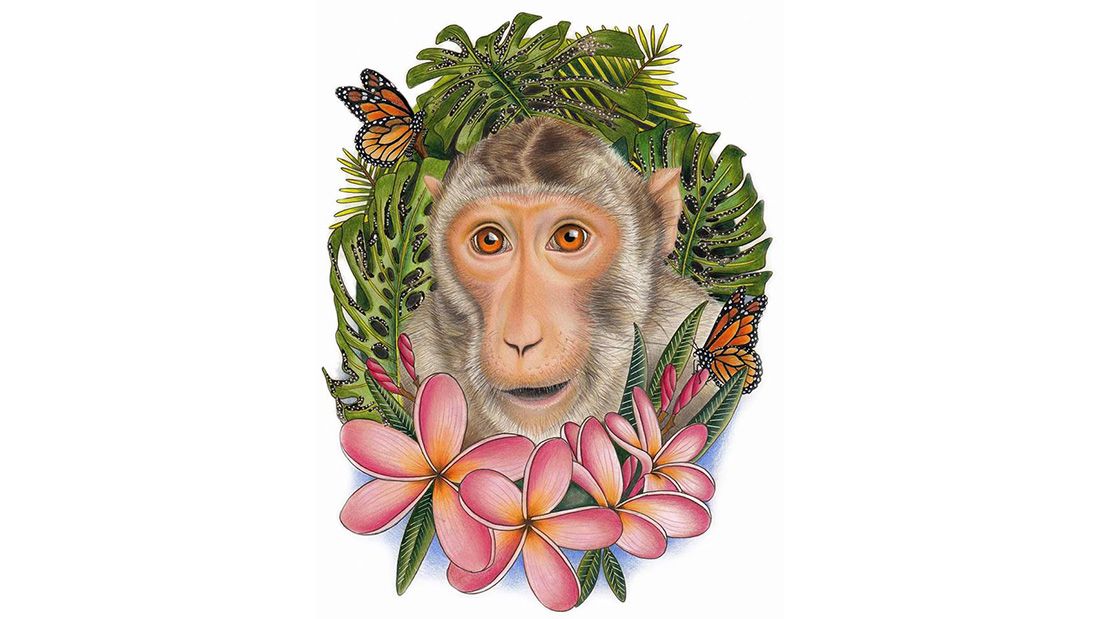 Rose Skelton monkey