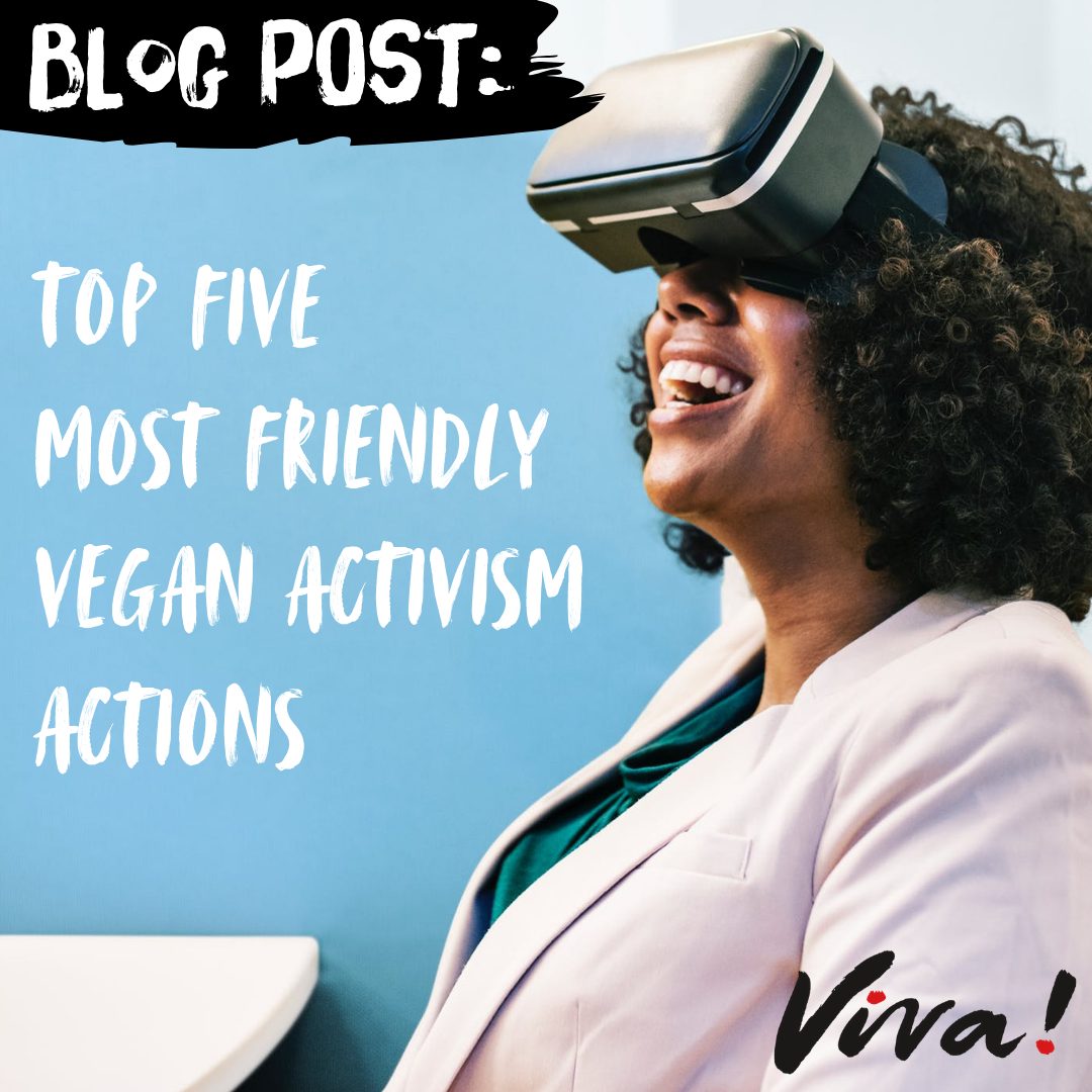 Top 5 Most Friendly Vegan Activism Actions