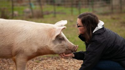 5 New Year Resolutions to Help Animals