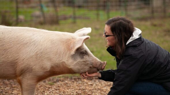 5 New Year Resolutions to Help Animals