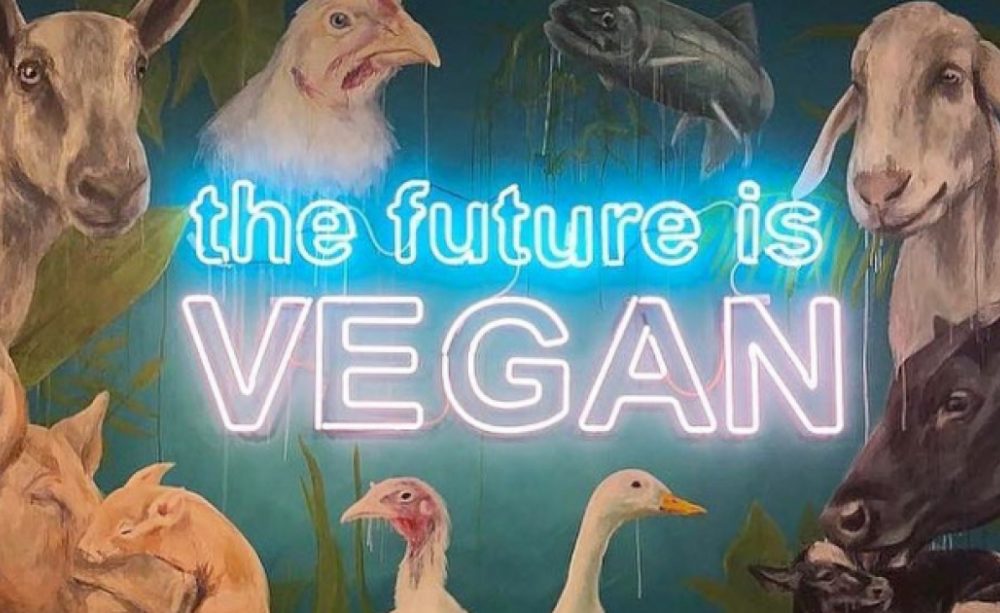 We Can Save Precious Species By Going Vegan
