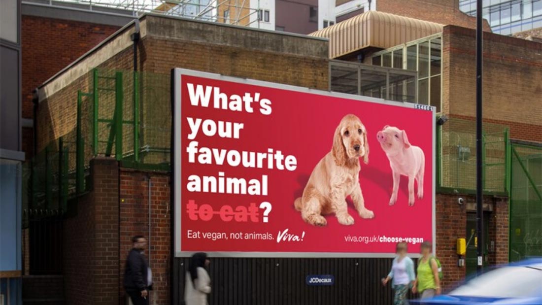 Viva! Reveals Billboards Asking People ‘When Did You Last Kill an Animal?’