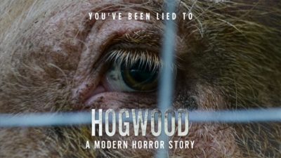 Hogwood banner image