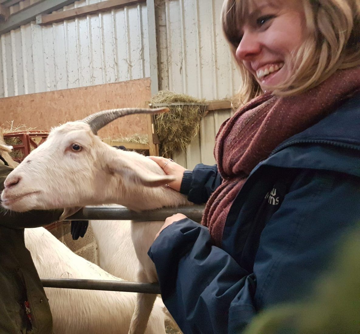 Jess with goat at sanctuary