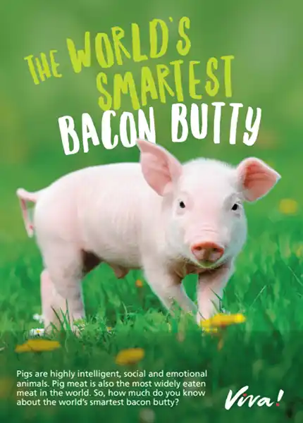 The World Smartest Bacon Butty Leaflets