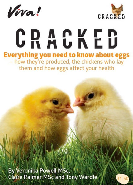 Everything you need to know about eggs