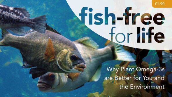 Fish-Free For Life