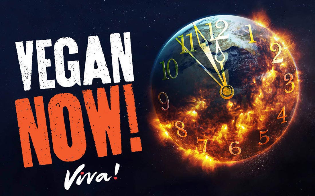 Vegan now Viva!