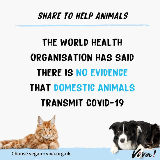 Share to help animals banner