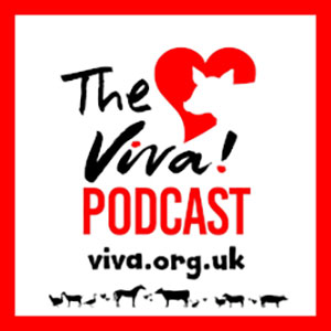 Viva! Podcast logo