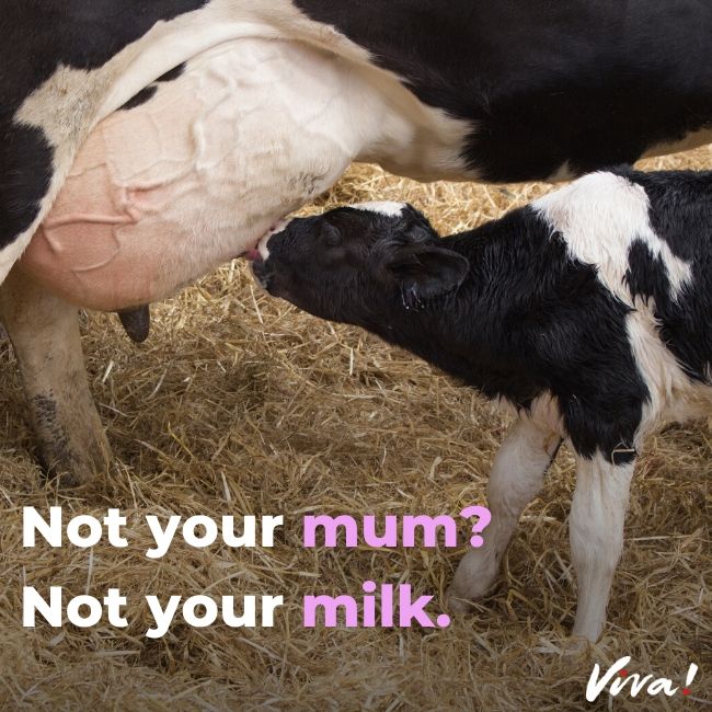 Not your mum? Not your milk.
