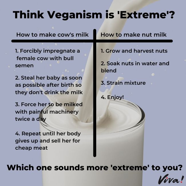 Think veganism is 'extreme'?