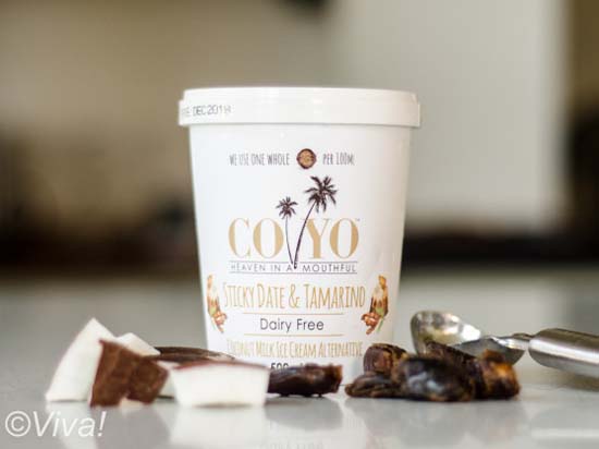 Coyo ice-cream