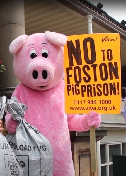 person in pig outfit holding a placard