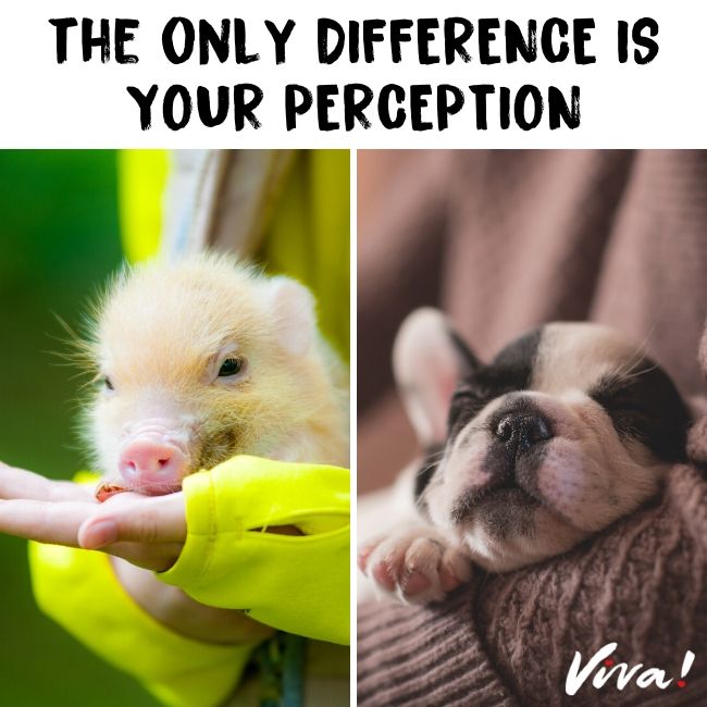 The only difference is your perception