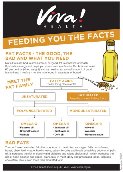 Mini-fact-sheet-Fat-1