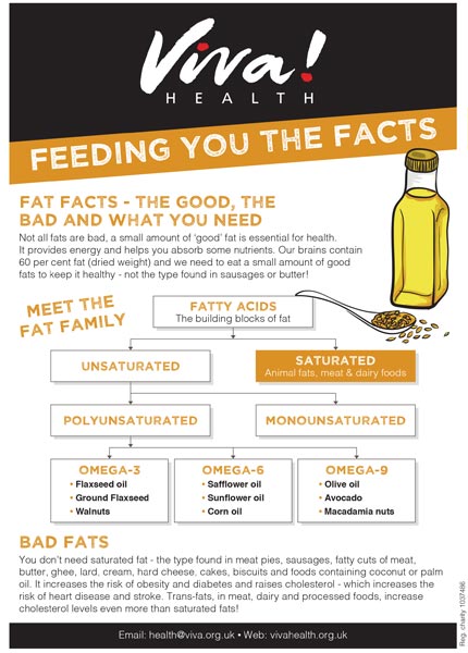 Mini fact sheet: Fat facts