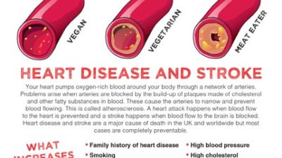 Mini fact sheet: Heart health