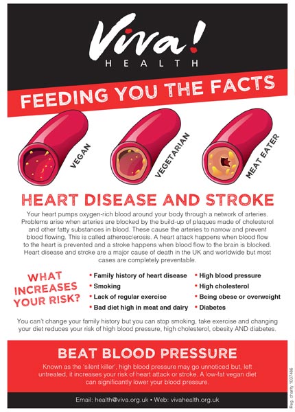 Mini fact sheet: Heart health