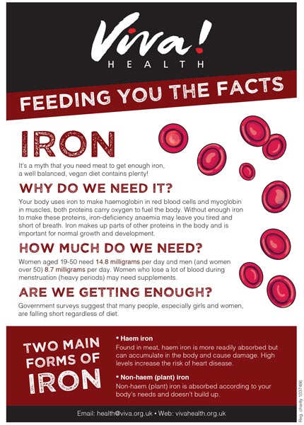 why the body needs iron