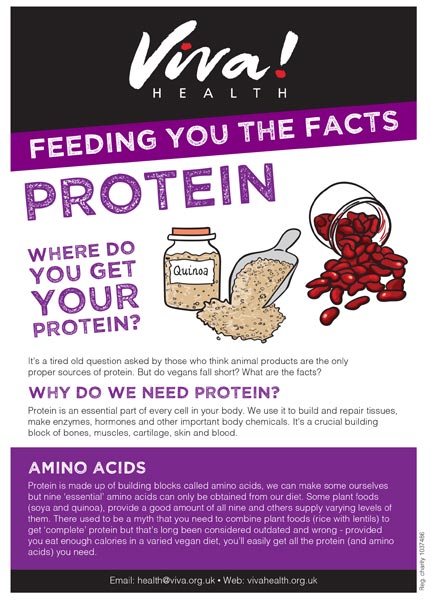 Mini fact sheet: Protein