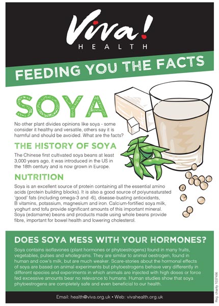 Mini fact sheet Soya