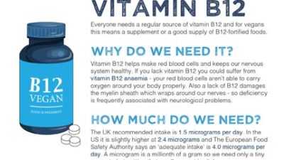 Mini fact sheet: Vitamin B12
