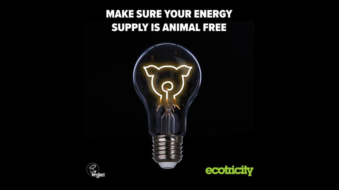 Ecotricity Vegan Energy