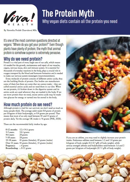 Protein factsheet