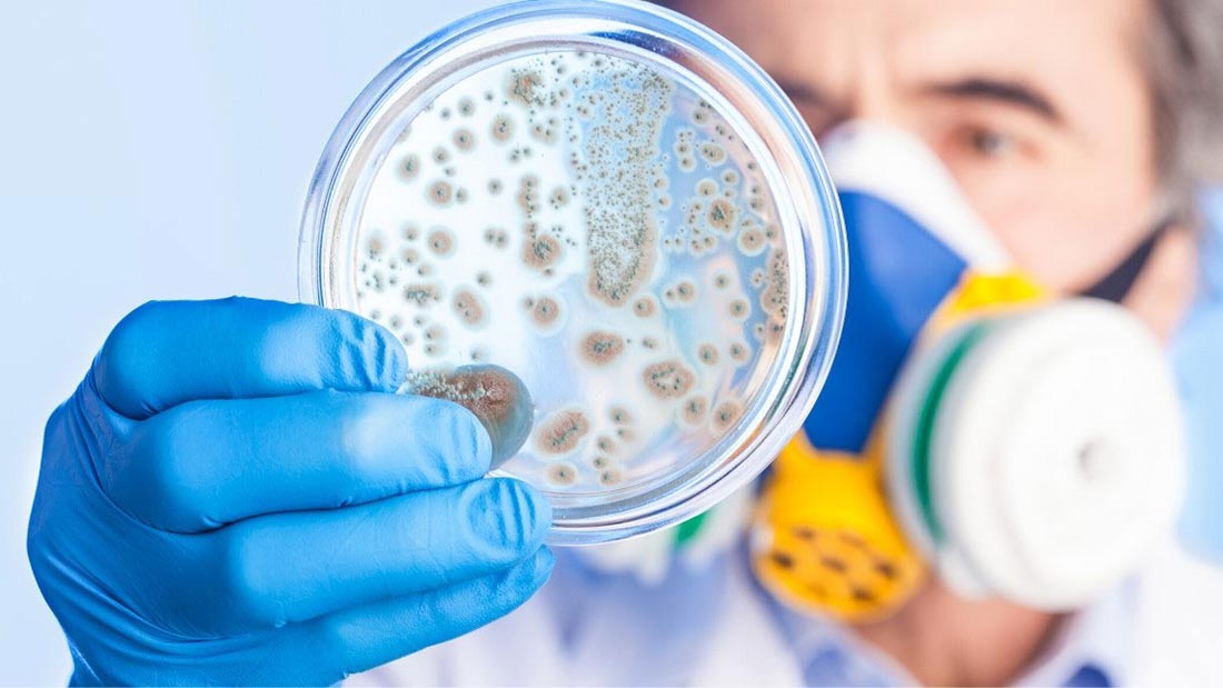 Antibiotic resistance