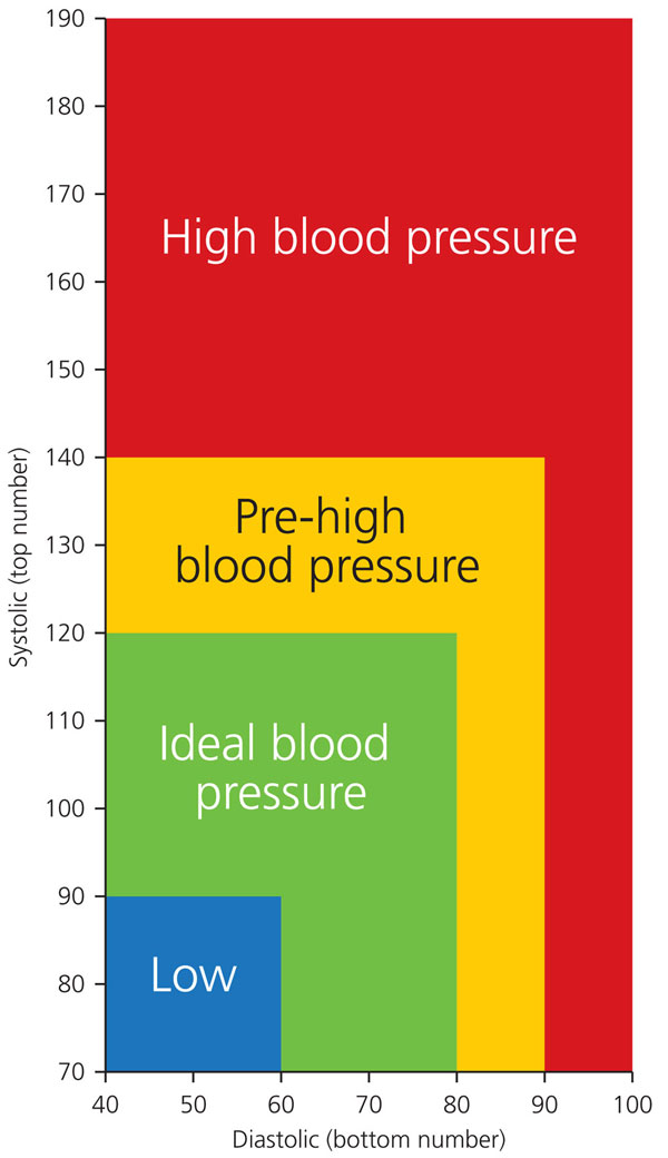 Blood pressure graph