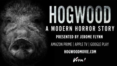 Hogwood Documentary