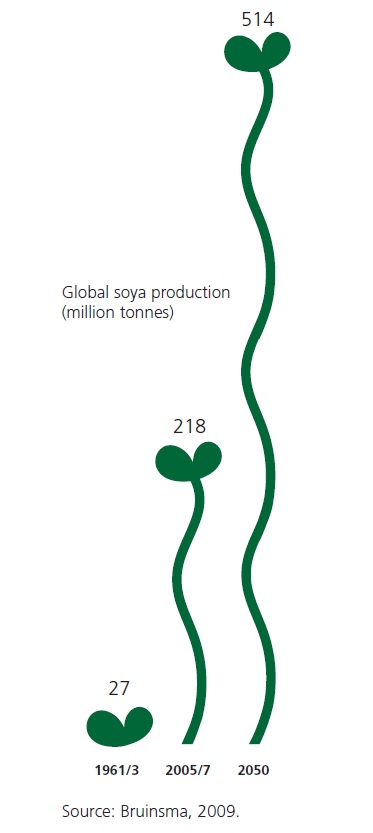 Soya Growth