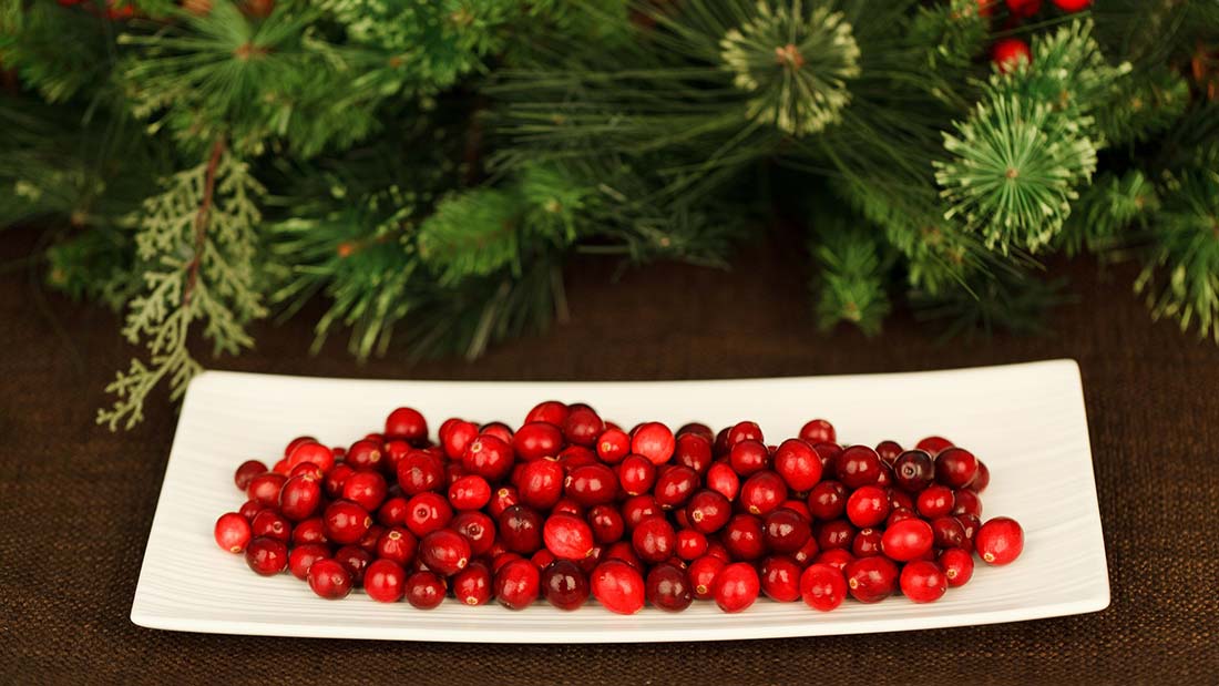 Christmas cranberries