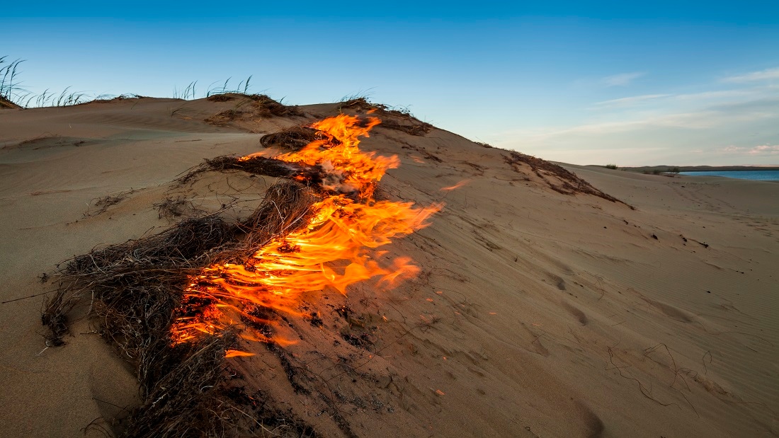 fire-on-sand-dunes-gobi-desert-mongolia